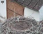 Capi_Dubne_20260922_191003.jpg
