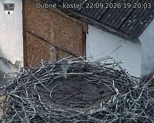 Capi_Dubne_20260922_192003.jpg (1350&nbsp;x&nbsp;1080)