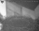 Capi_Dubne_20260922_194002.jpg