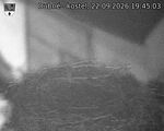 Capi_Dubne_20260922_194503.jpg