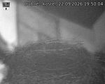 Capi_Dubne_20260922_195004.jpg