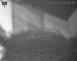 Capi_Dubne_20260922_200003.jpg