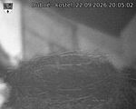 Capi_Dubne_20260922_200502.jpg