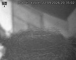 Capi_Dubne_20260922_203502.jpg