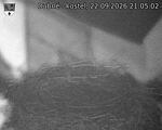 Capi_Dubne_20260922_210502.jpg