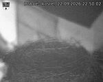 Capi_Dubne_20260922_225002.jpg