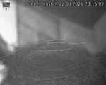 Capi_Dubne_20260922_231502.jpg