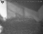 Capi_Dubne_20260922_233504.jpg