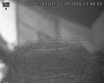 Capi_Dubne_20260922_234002.jpg