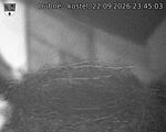 Capi_Dubne_20260922_234503.jpg