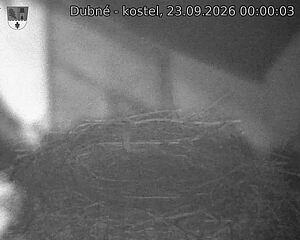 Capi_Dubne_20260923_000003.jpg (1350&nbsp;x&nbsp;1080)