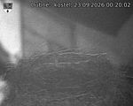 Capi_Dubne_20260923_002002.jpg