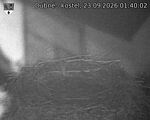 Capi_Dubne_20260923_014002.jpg