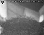 Capi_Dubne_20260923_052502.jpg