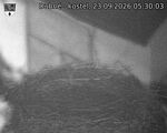 Capi_Dubne_20260923_053003.jpg