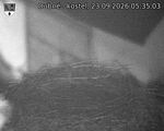 Capi_Dubne_20260923_053503.jpg