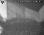 Capi_Dubne_20260923_060003.jpg