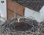 Capi_Dubne_20260923_080003.jpg