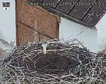Capi_Dubne_20260923_080503.jpg