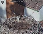 Capi_Dubne_20260923_095003.jpg