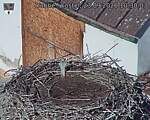 Capi_Dubne_20260923_103003.jpg