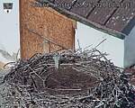 Capi_Dubne_20260923_104003.jpg