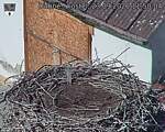 Capi_Dubne_20260923_115004.jpg