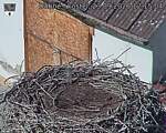 Capi_Dubne_20260923_121504.jpg