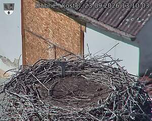Capi_Dubne_20260923_131003.jpg (1350&nbsp;x&nbsp;1080)