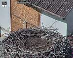 Capi_Dubne_20260923_134003.jpg