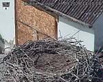 Capi_Dubne_20260923_142004.jpg