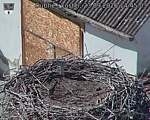 Capi_Dubne_20260923_144503.jpg