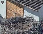 Capi_Dubne_20260923_153504.jpg