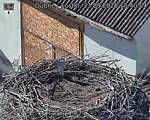 Capi_Dubne_20260923_154004.jpg