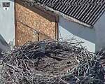 Capi_Dubne_20260923_155004.jpg