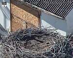 Capi_Dubne_20260923_160504.jpg