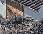 Capi_Dubne_20260923_162003.jpg