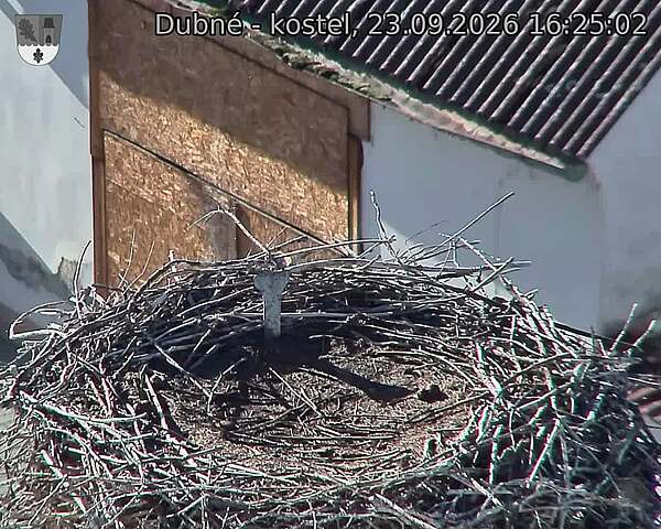 preload