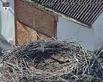 Capi_Dubne_20260923_164004.jpg