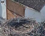 Capi_Dubne_20260923_164504.jpg