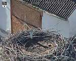 Capi_Dubne_20260923_165004.jpg