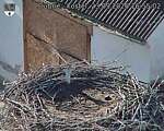 Capi_Dubne_20260923_165502.jpg