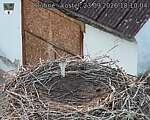 Capi_Dubne_20260923_181004.jpg