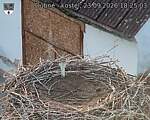 Capi_Dubne_20260923_182503.jpg
