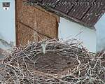 Capi_Dubne_20260923_183504.jpg