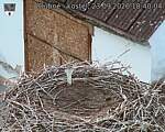 Capi_Dubne_20260923_184004.jpg