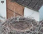 Capi_Dubne_20260923_191004.jpg