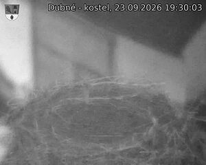 Capi_Dubne_20260923_193003.jpg (1350&nbsp;x&nbsp;1080)