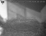 Capi_Dubne_20260923_201503.jpg
