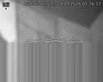 Capi_Dubne_20260924_052617.jpg